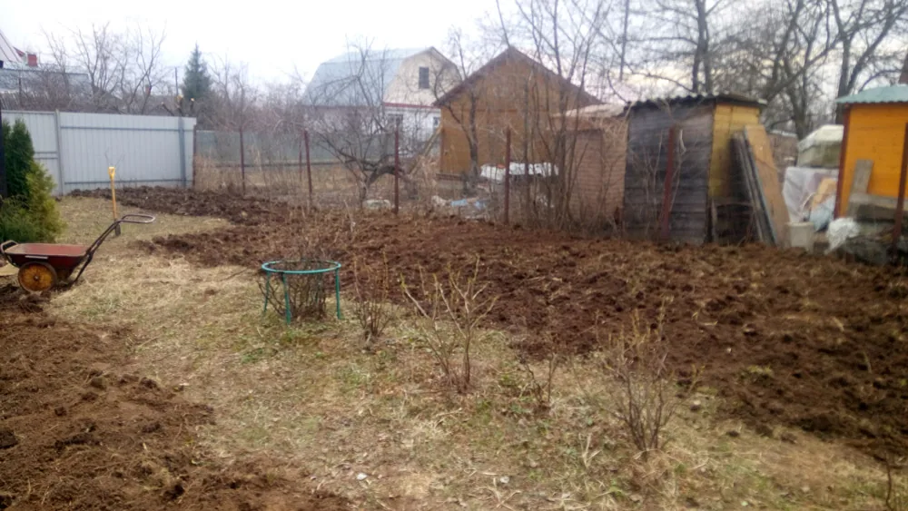 Культивация, Нагулино