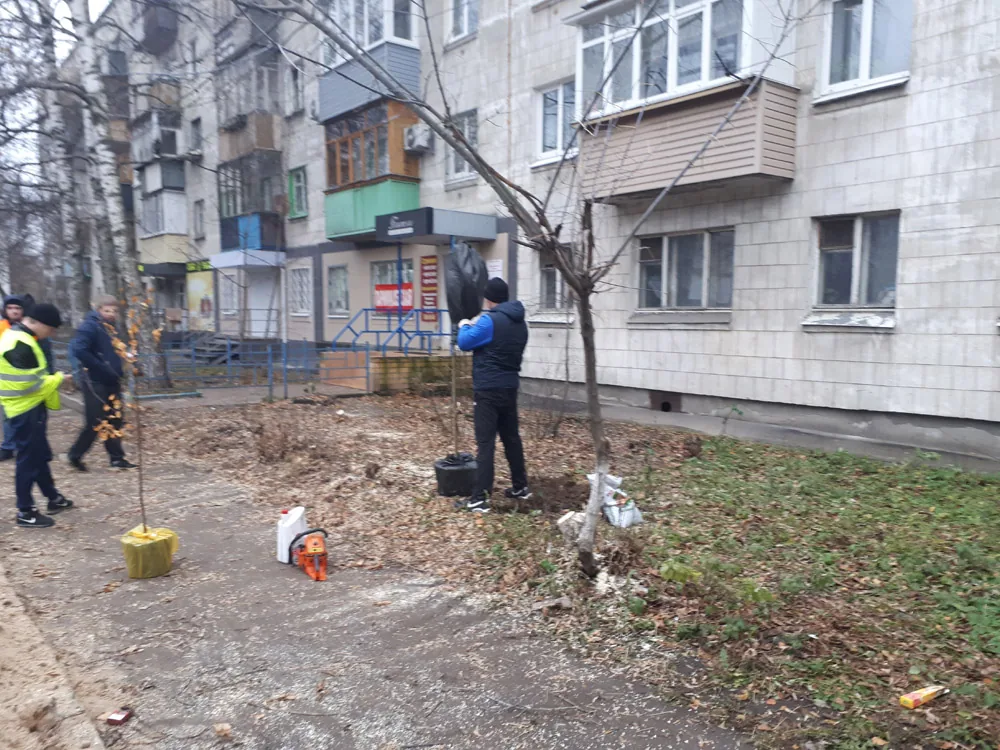 Посадка деревьев