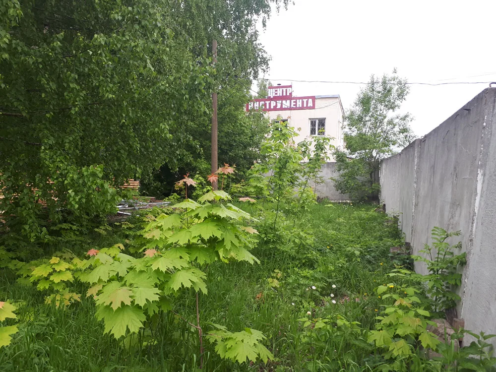 Благоустройство, Меркурий