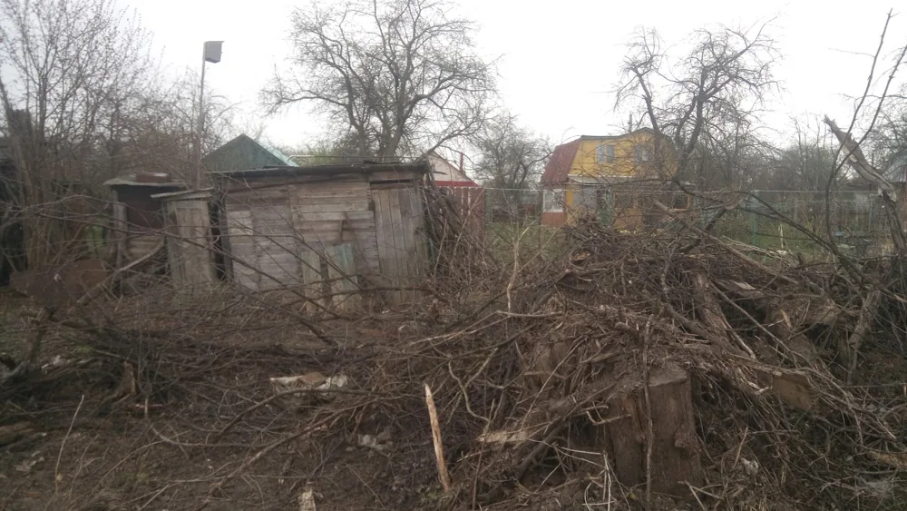 Расчистка сада, Старое