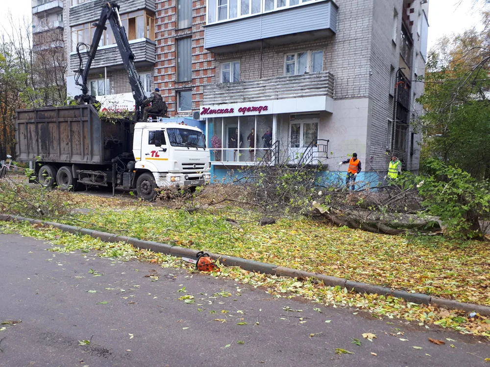 Спил деревьев, ул. Фруктовая, Ломовоз