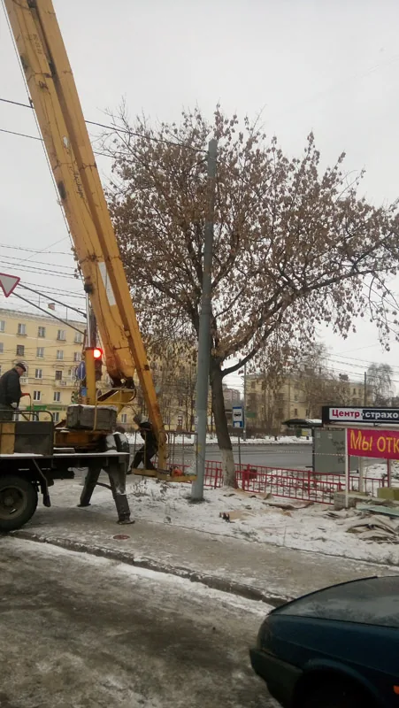 Спил деревьев на автовышке, Коминтерна