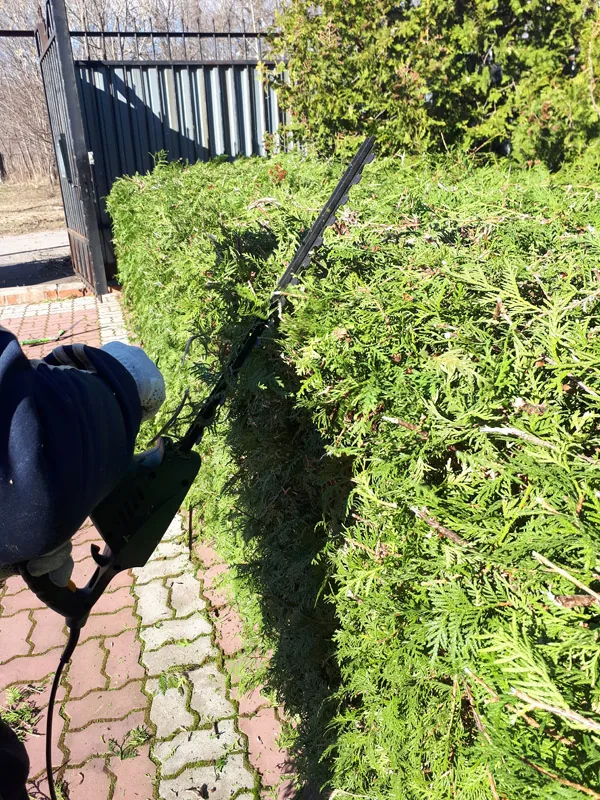 Стрижка кустов и спил деревьев на автовышке, Новинки
