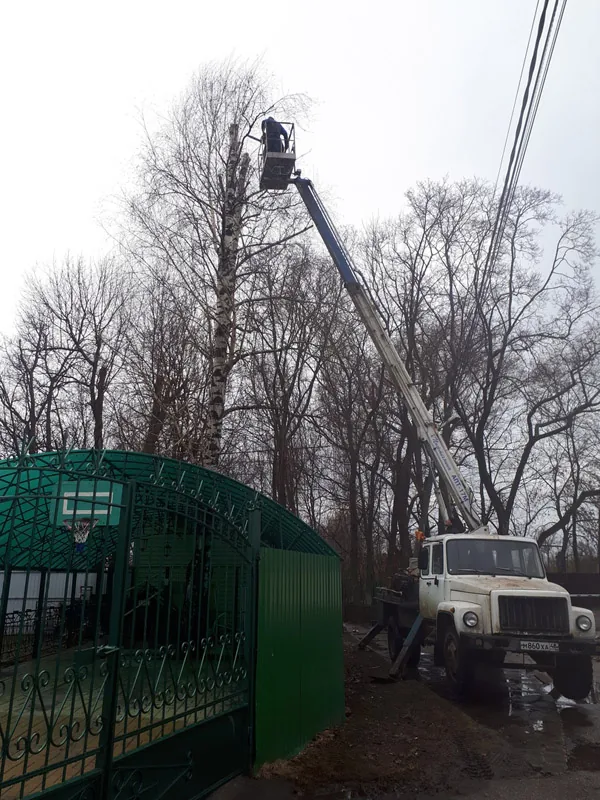Стрижка кустов и спил деревьев на автовышке, Новинки