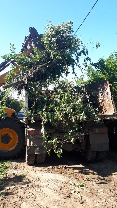 Демонтаж садов, ул. Баумана, Нижний Новгород