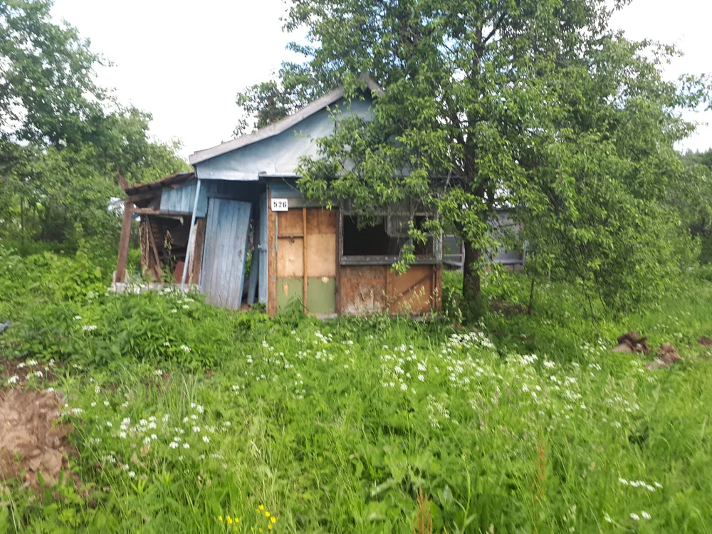 Расчистка сада, Каменки