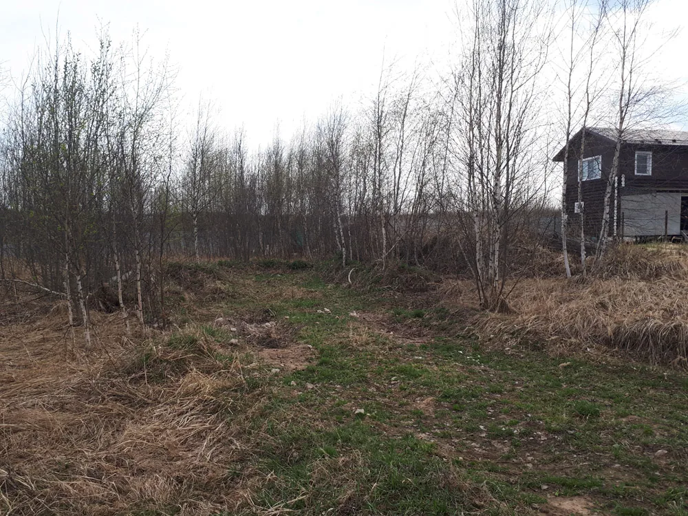 Расчистка участка, Богородский район оранки