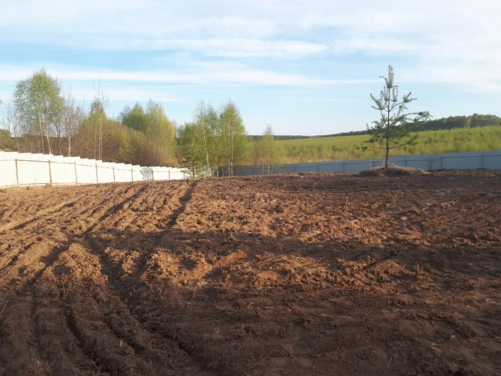 Расчистка участка, Богородский район оранки