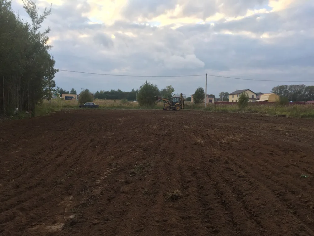 Расчистка участка, Буревестник