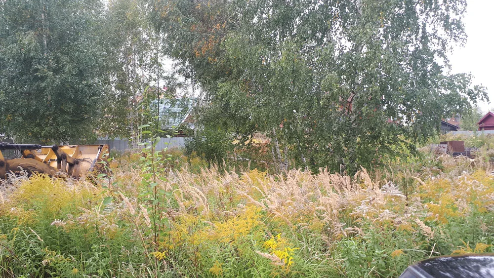 Расчистка участка, Городецкий район, ООО «Аксентис»