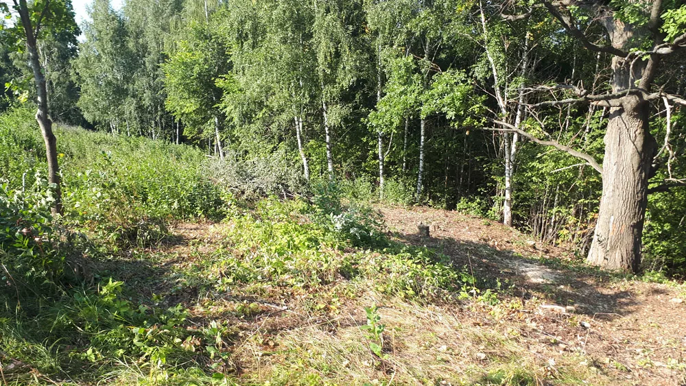 Расчистка участка, Козловка над источником