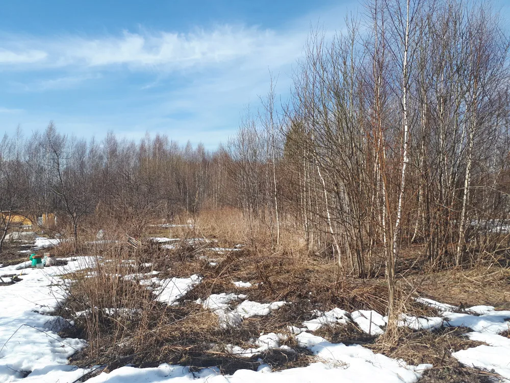 Расчистка участка, за Нижегородским кольцом, 120 км