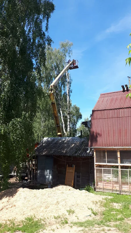 Спил деревьев на автовышке, Каменки