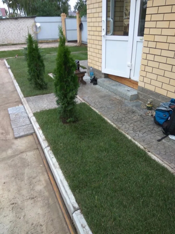 Посев газона