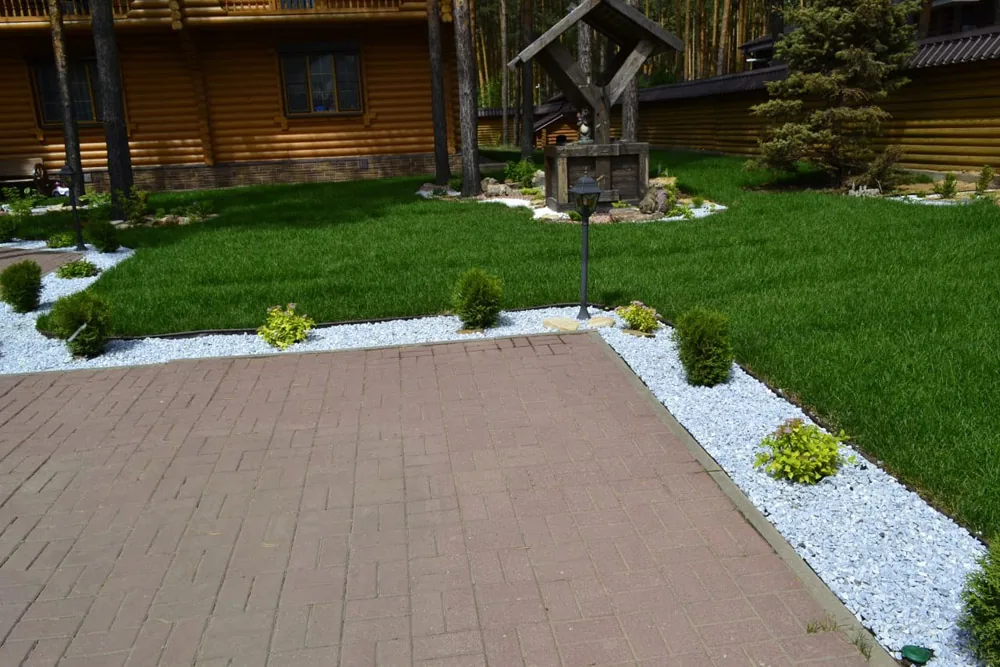 Посев газона