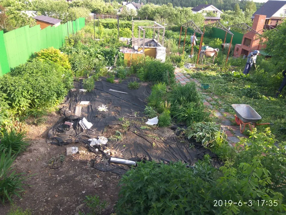Посев газона