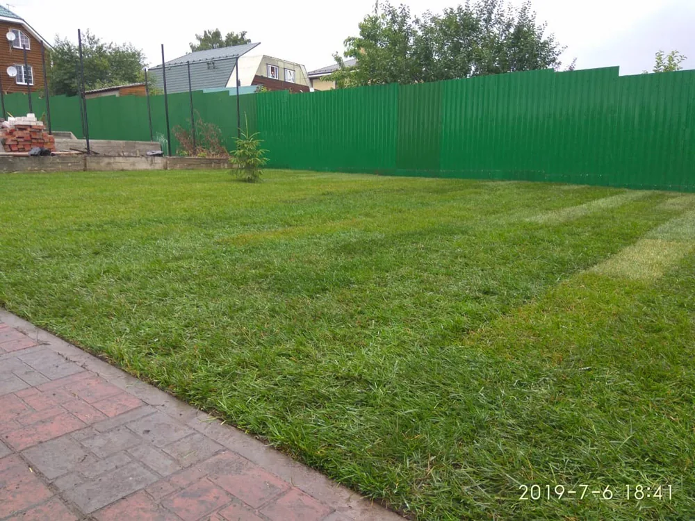 Посев газона