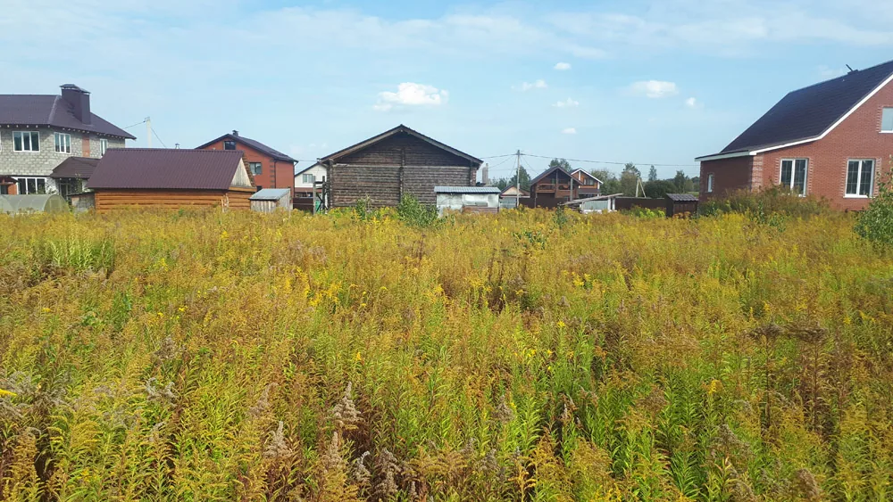 Расчистка и планировка, Елховка