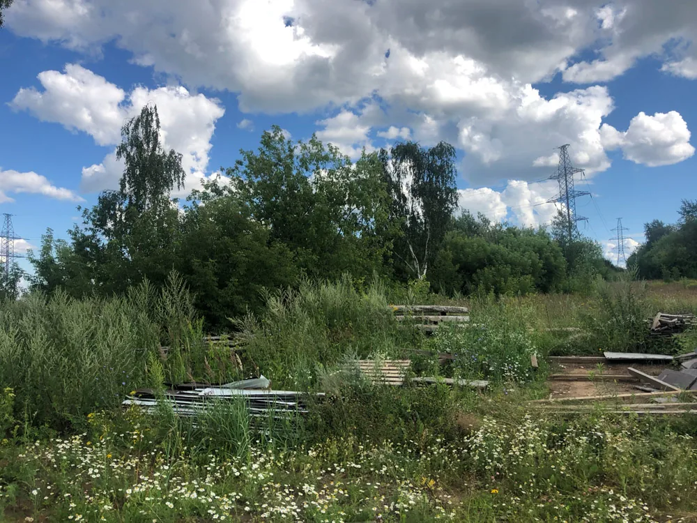 Расчистка участка, Афонино