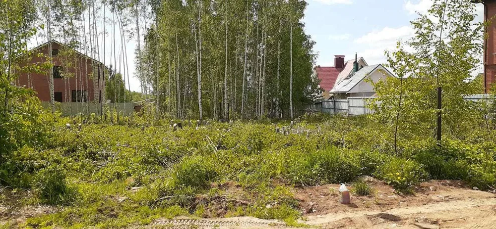 Расчистка участка, Афонино, 2