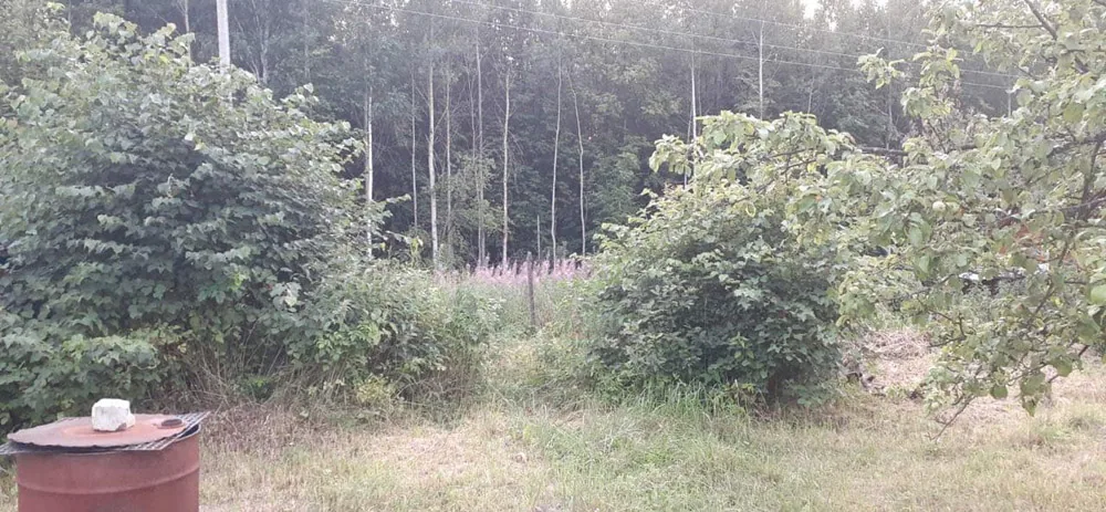 Расчистка участка, Арманиха