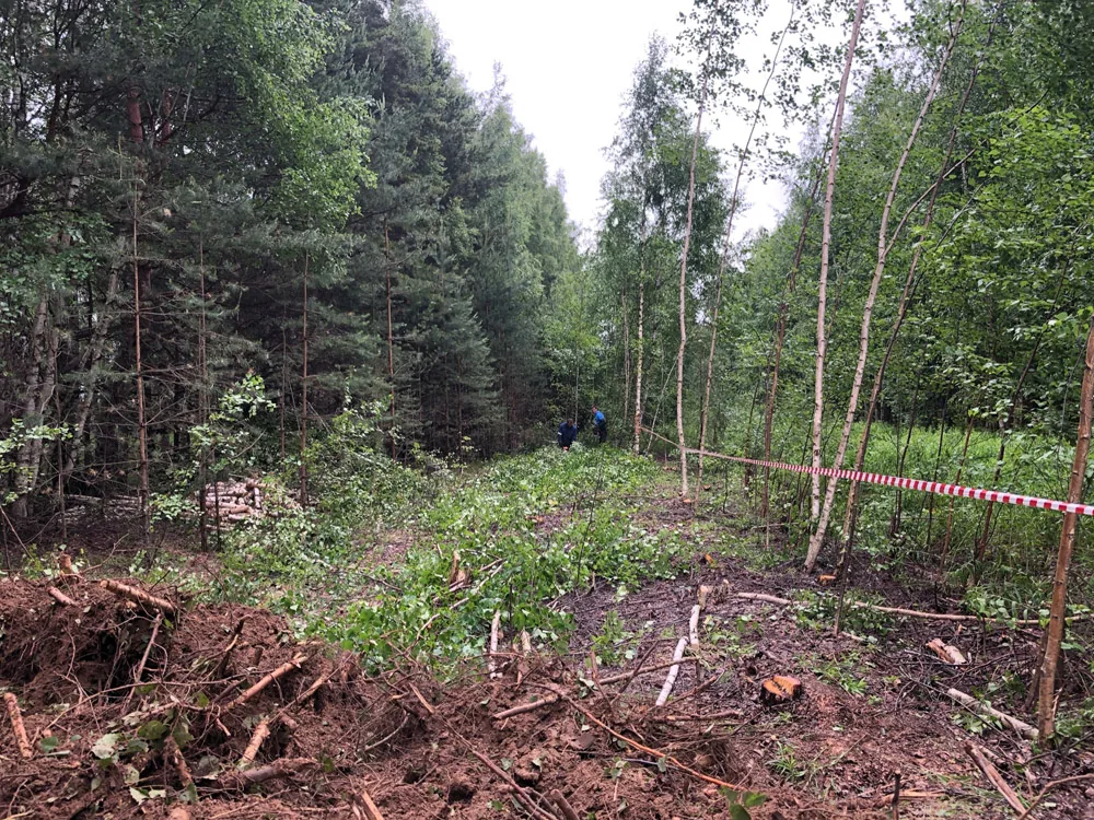 Расчистка участка, Бушнево