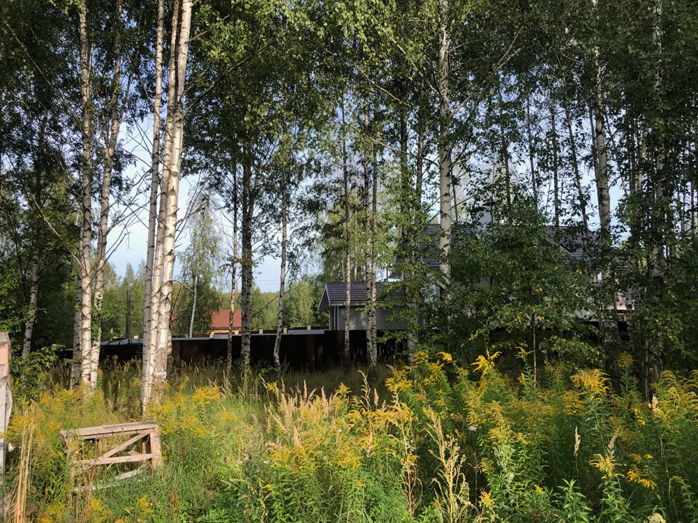 Расчистка участка, Наиз утечино