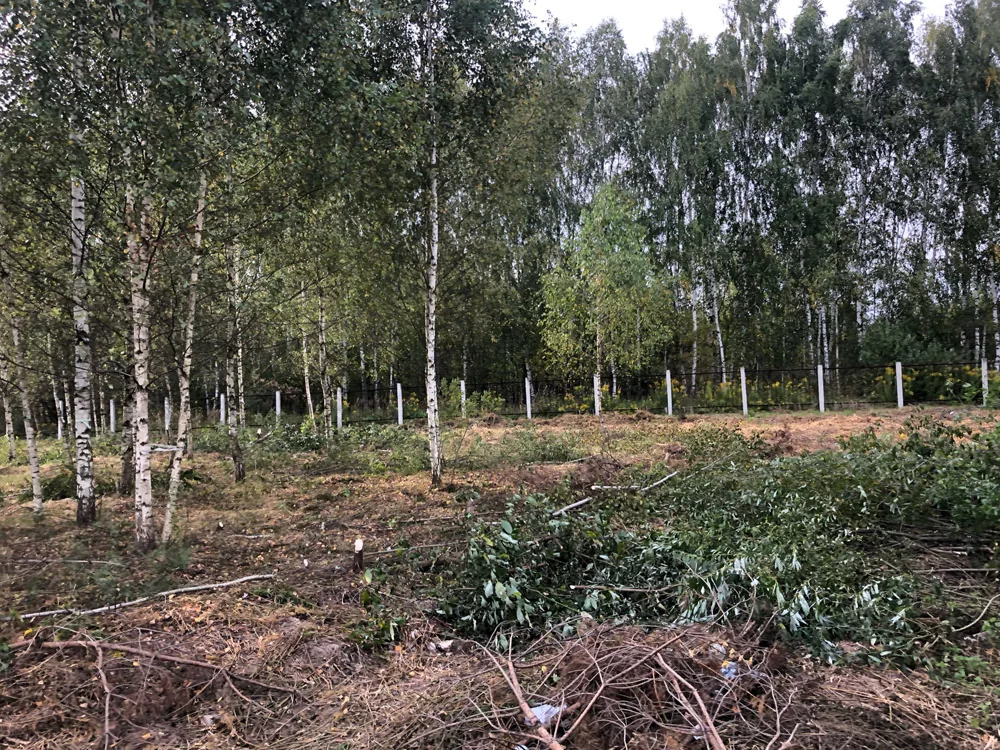 Расчистка участка, Приозерный