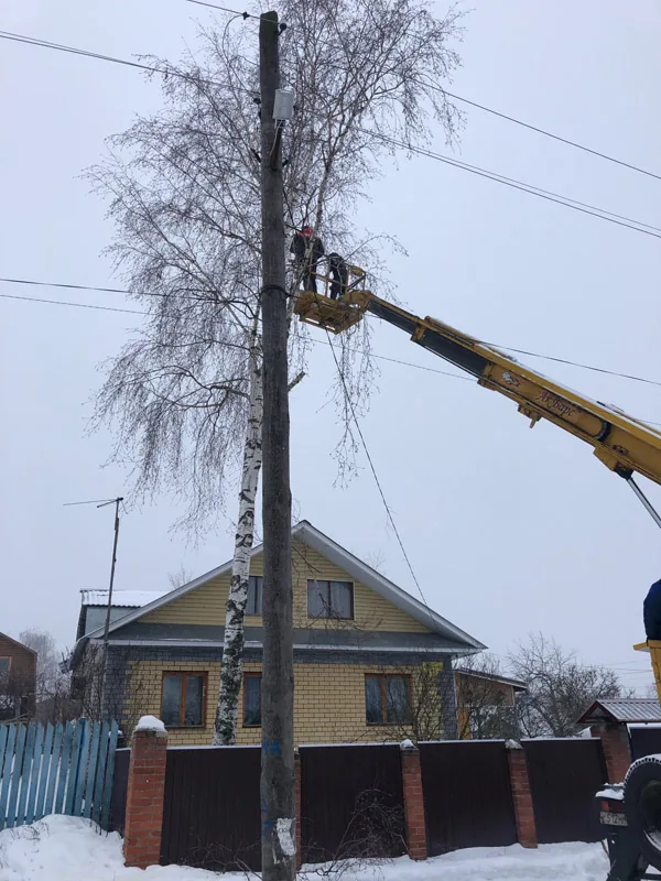 Спил деревьев, Балахна