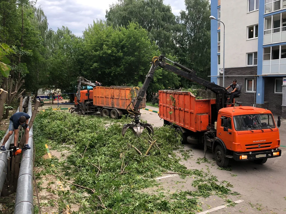 Спил деревьев, ул. Ивлеева, Нижний Новгород