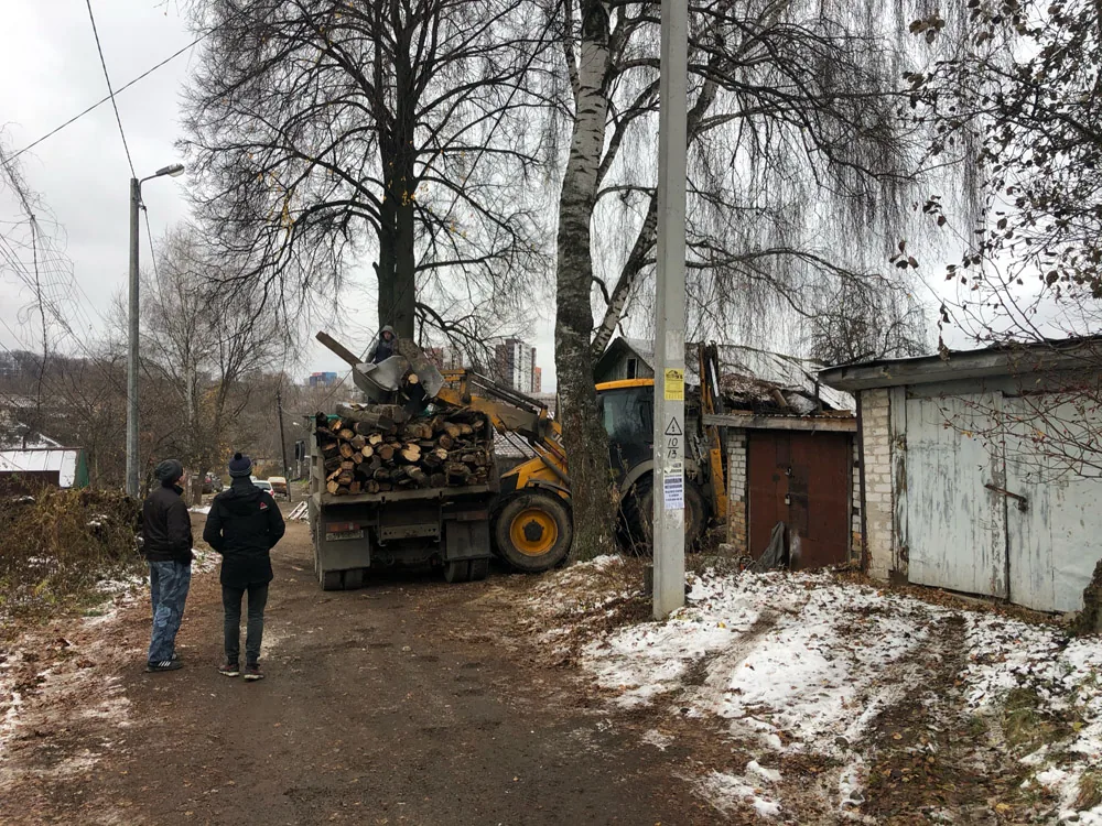 Спил деревьев, ул. Вишневая, Нижний Новгород