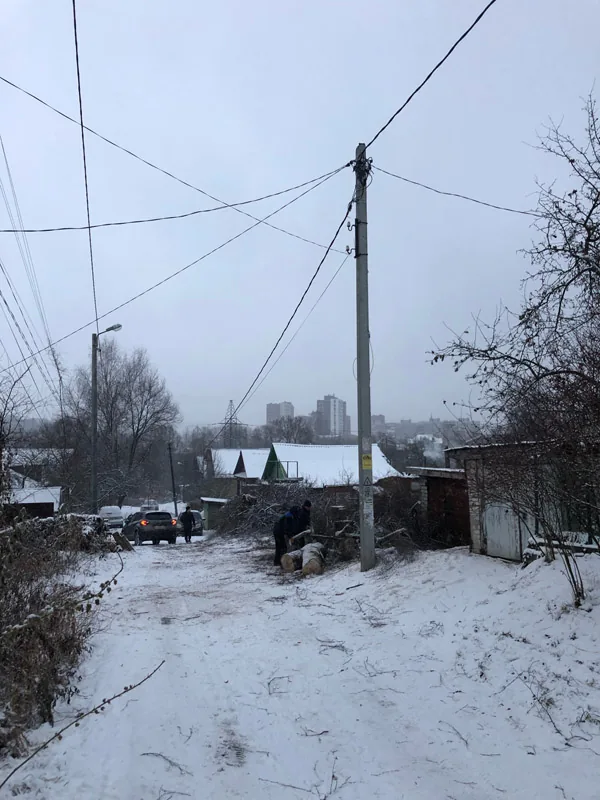 Спил деревьев, ул. Вишневая, Нижний Новгород
