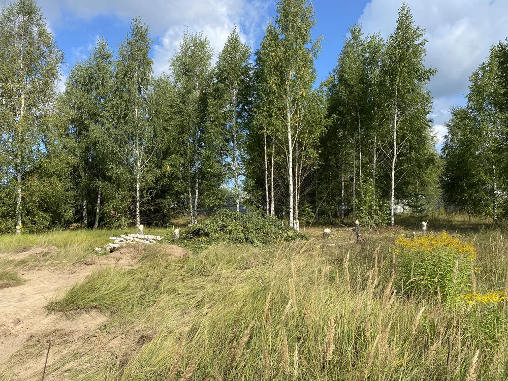 Расчистка поля на участке, д.Николино, Борский район