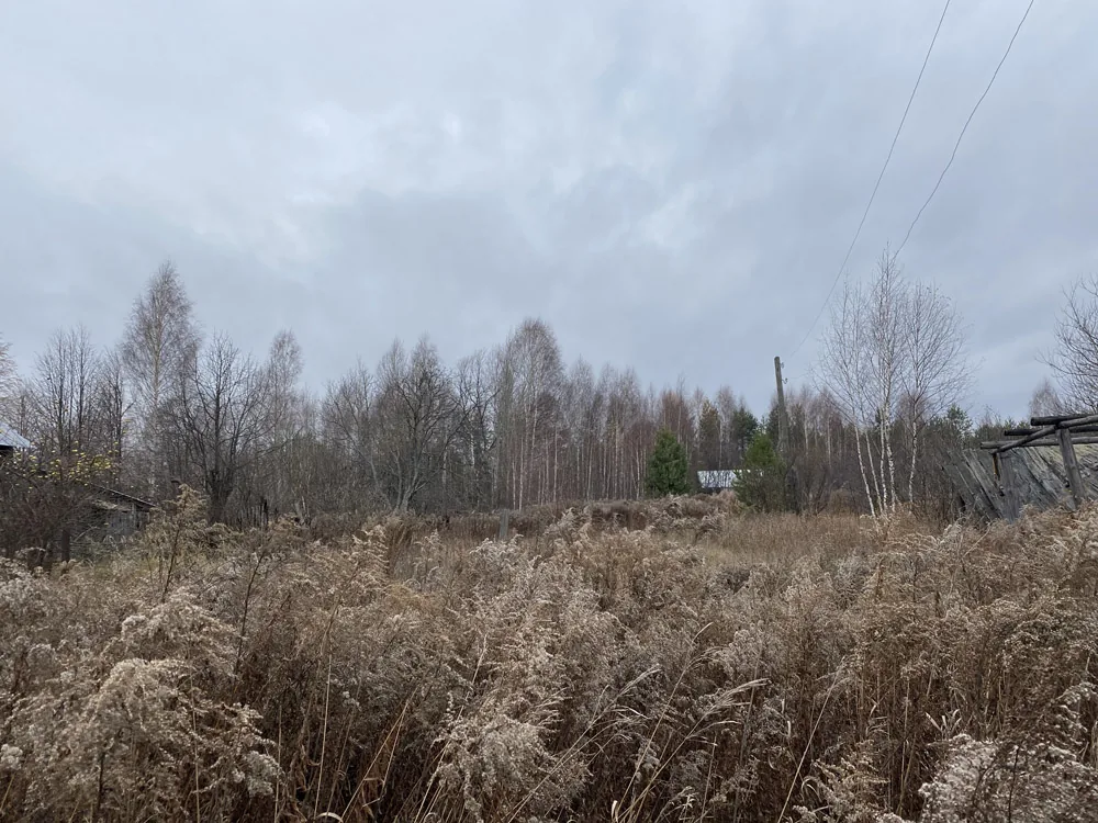 Расчистка участка, спил деревьев, д.Орлово, Борский район