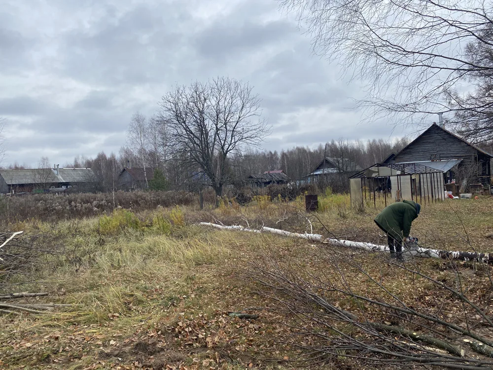 Расчистка участка, спил деревьев, д.Орлово, Борский район