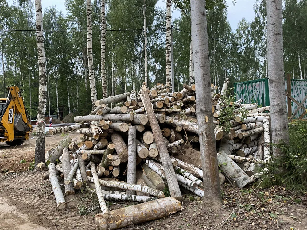 Расчистка участка, Черемисское