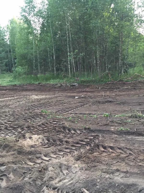 Расчистка участка, Лесная поляна
