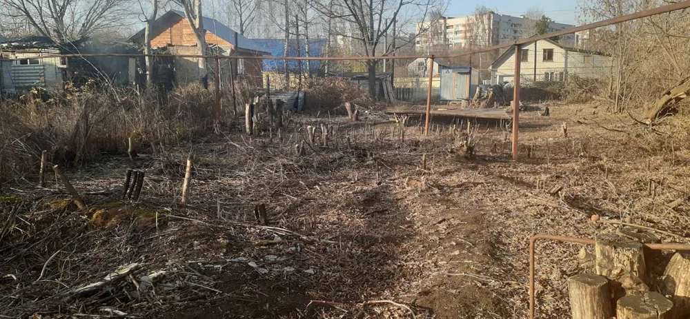 Расчистка участка, Народная