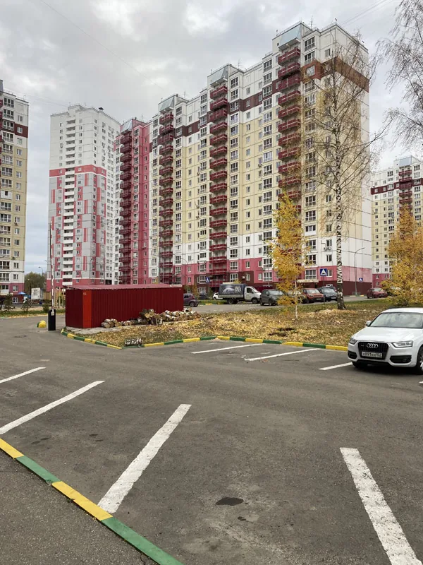 Спил деревьев, ЖК Белый город, Нижний Новгород
