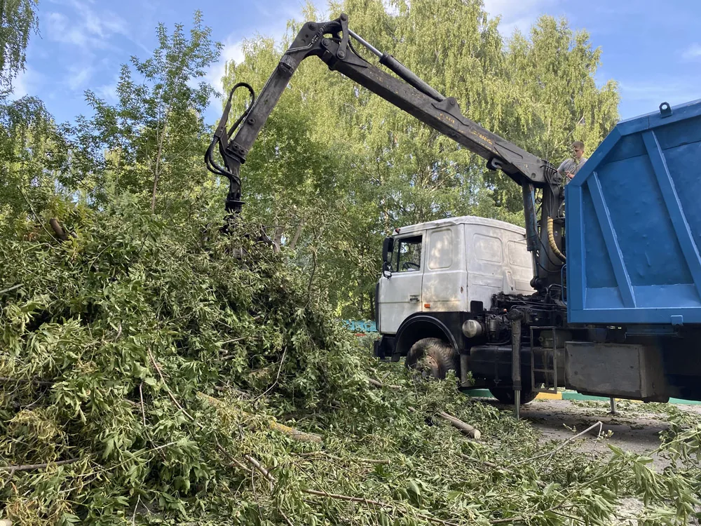 Спил деревьев, ул. Ивлиева, Нижний Новгород