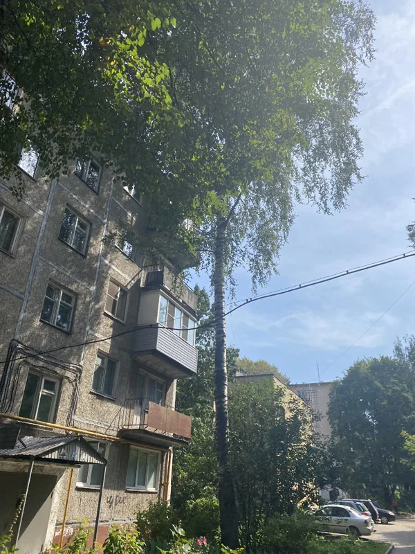 Спил деревьев, ул. Корнилова, Нижний Новгород