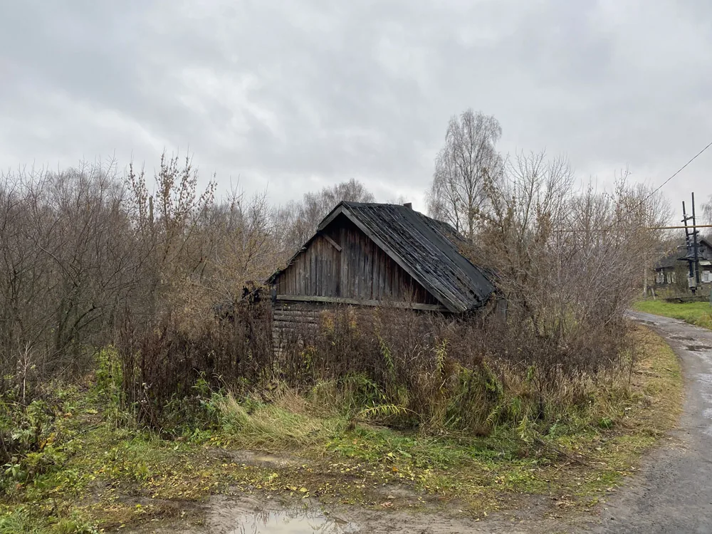 Спил деревьев, Курцево