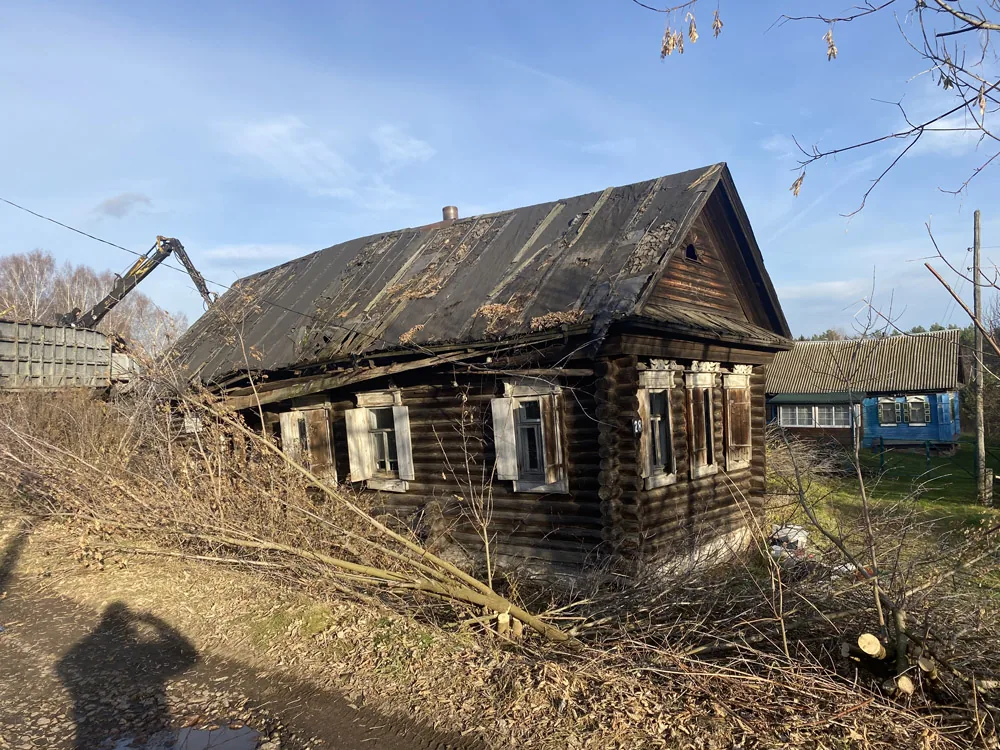 Спил деревьев, Курцево