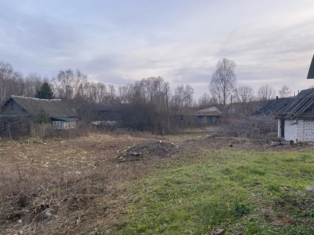 Спил деревьев, Курцево