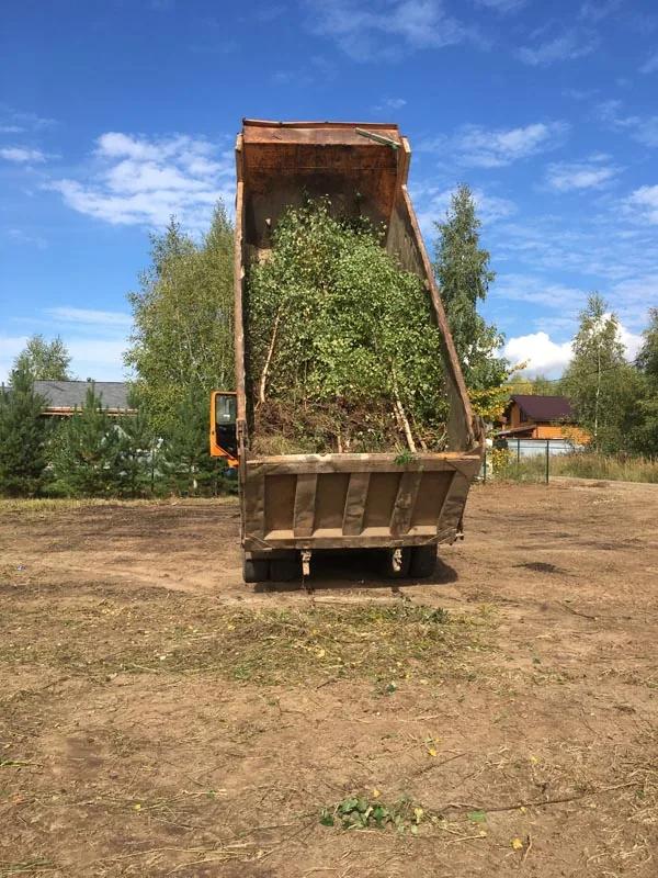 Расчистка участка со спилом деревьев, д.Майдан, Кстовский район