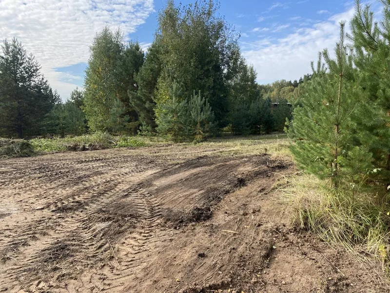 Расчистка участка со спилом деревьев, д.Майдан, Кстовский район