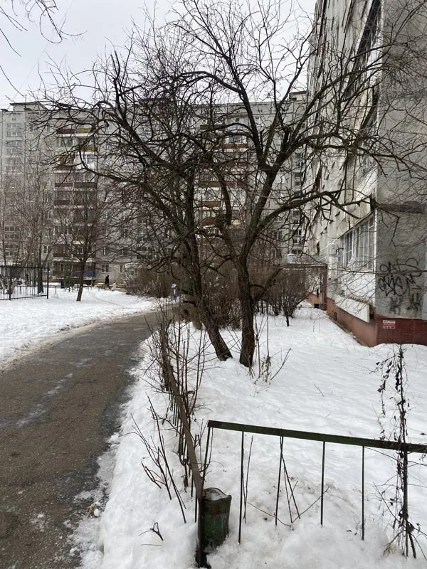 Кронирование, ул.Есенина, Нижний Новгород