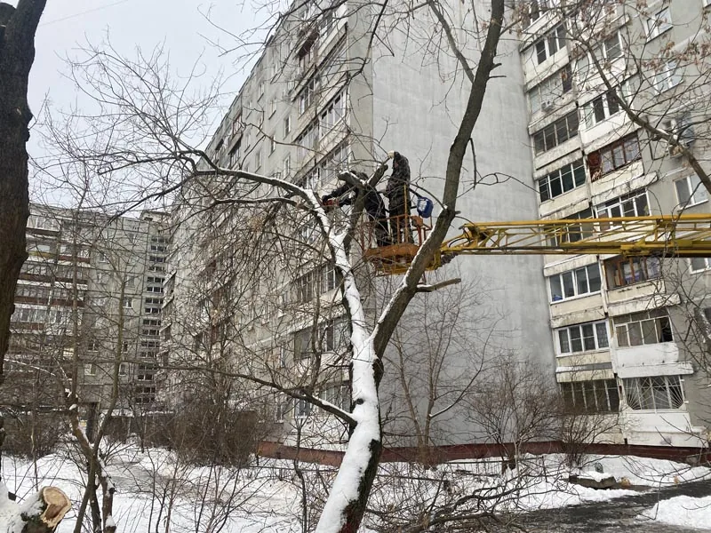 Кронирование, ул.Есенина, Нижний Новгород