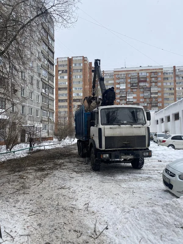 Кронирование, ул.Есенина, Нижний Новгород