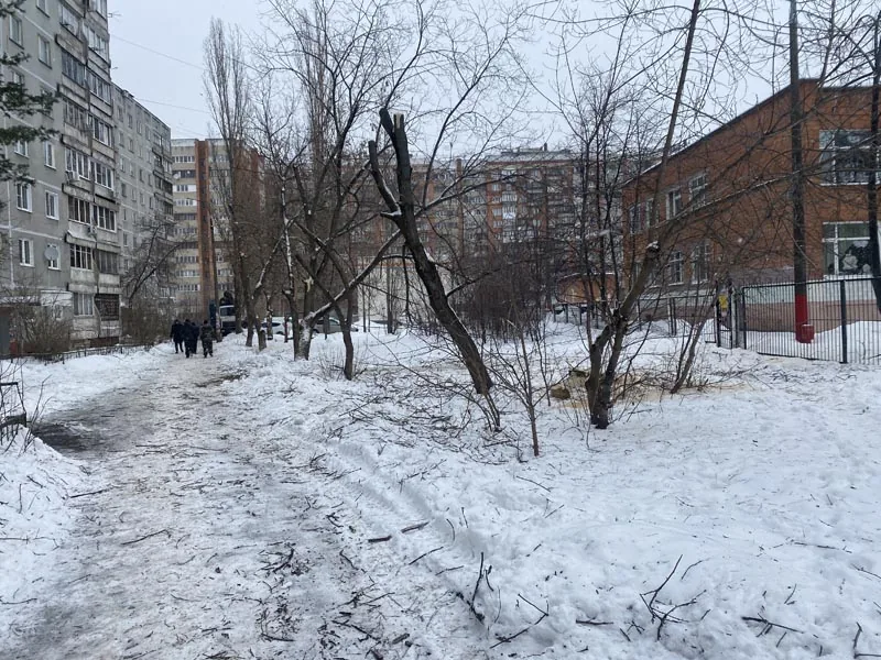 Кронирование, ул.Есенина, Нижний Новгород